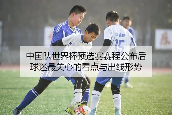 中国队世界杯预选赛赛程公布后 球迷最关心的看点与出线形势